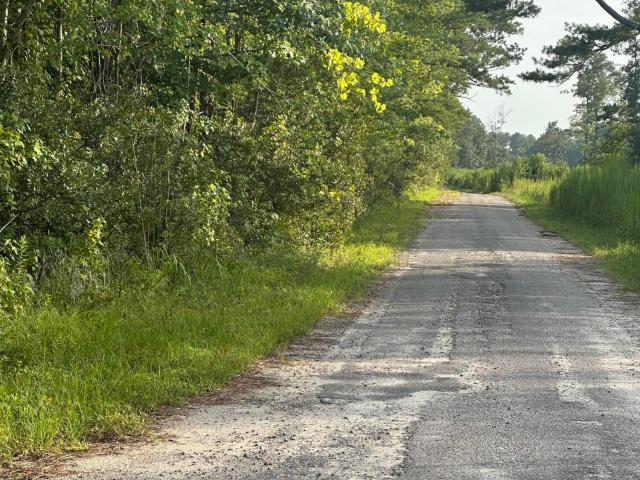 Land for sale in Branchville, South Carolina