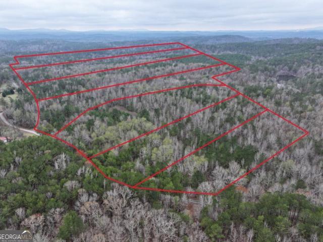 Land for sale in Munford, Alabama