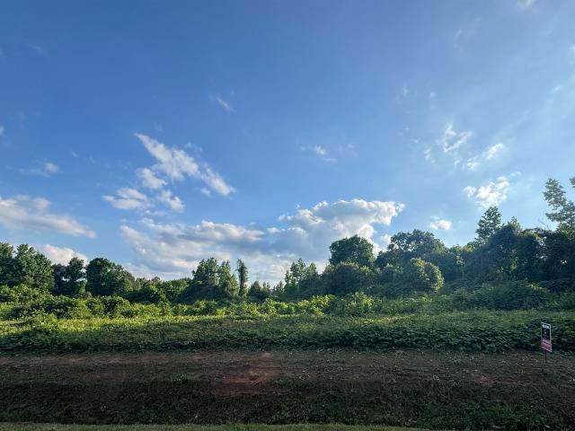 Land for sale in Hanceville, Alabama