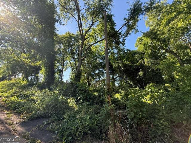 Land for sale in Lindale, Georgia