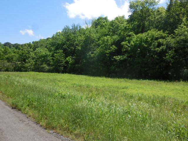 Land for sale in Gainesboro, Middle Tennessee