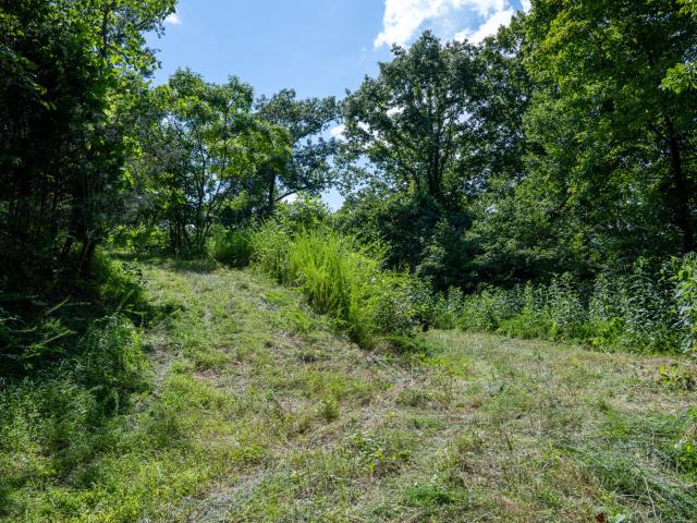 Land for sale in Tennessee