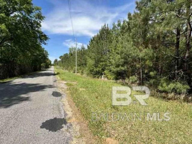 Land for sale in Millry, Alabama