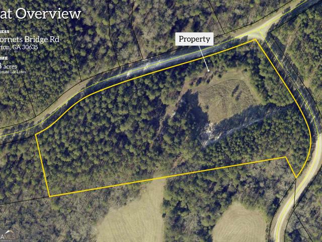Land for sale in Elbert, Georgia
