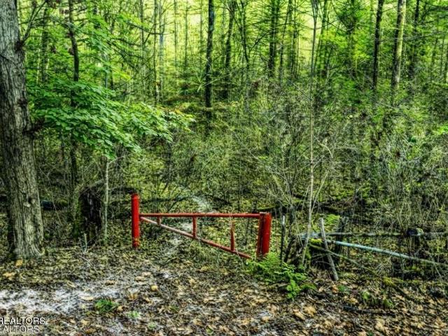 Land for sale in Tennessee