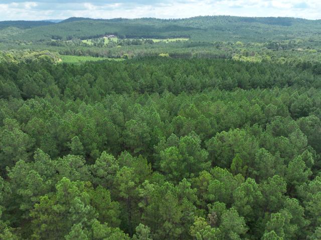 Land for sale in Ringgold, Georgia