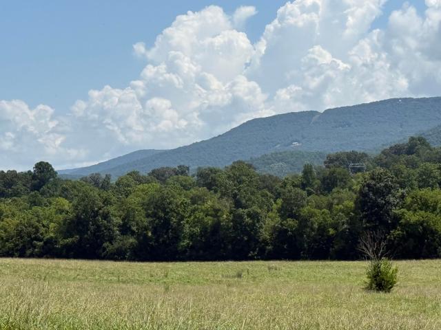Land for sale in Tennessee
