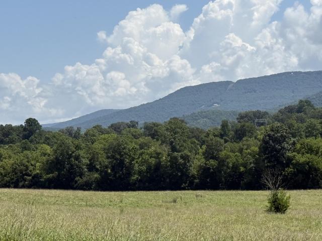 Farm for sale in Tennessee