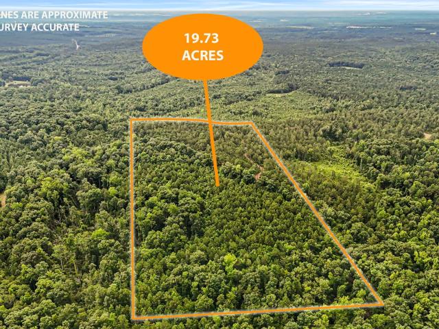 Land for sale in Roberta, Georgia