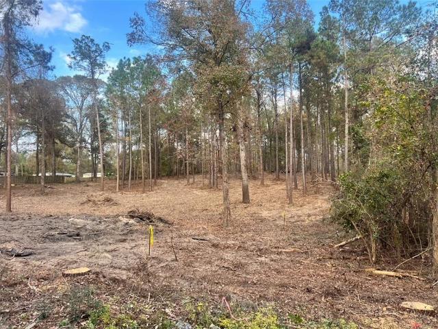 Land for sale in Boyce, Louisiana
