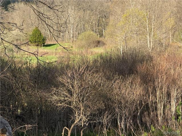 Land for sale in Aurora, New York