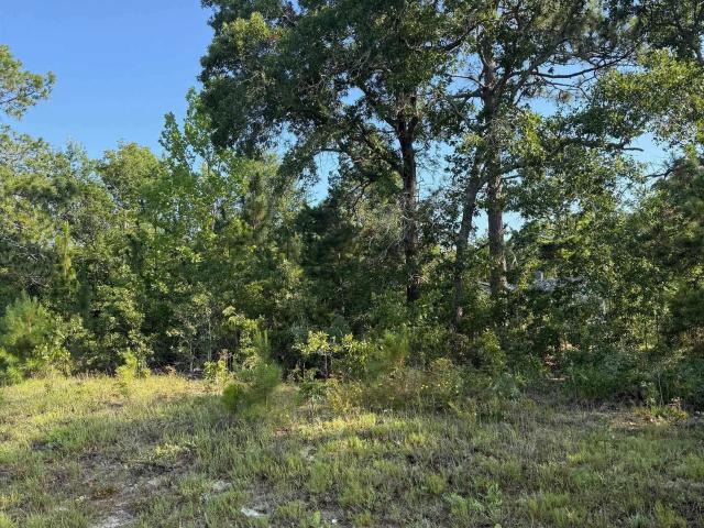 Land for sale in Batesburg