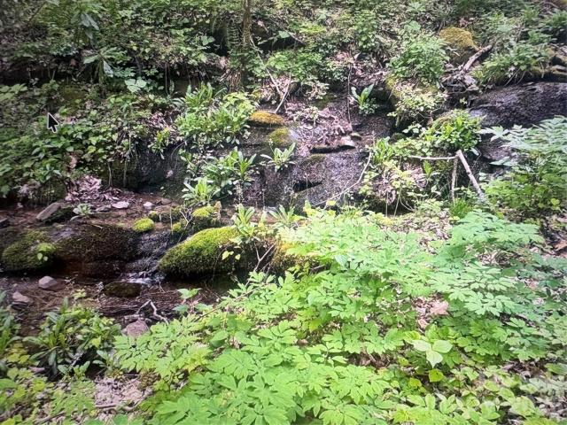 Land for sale in Bryson City, North Carolina
