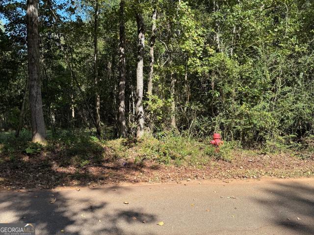 Land for sale in Hamilton, Georgia