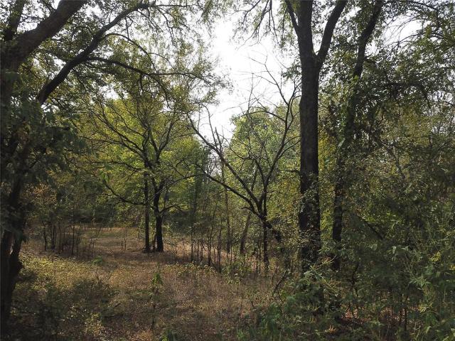 Land for sale in Valley View, Texas
