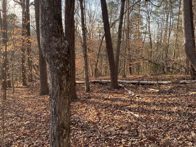 Land for sale in Tryon, North Carolina