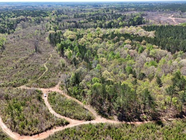 Land for sale in Decatur, Mississippi