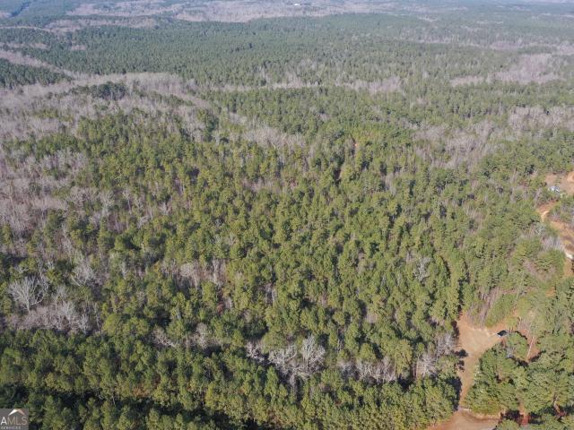 Land for sale in Elbert, Georgia