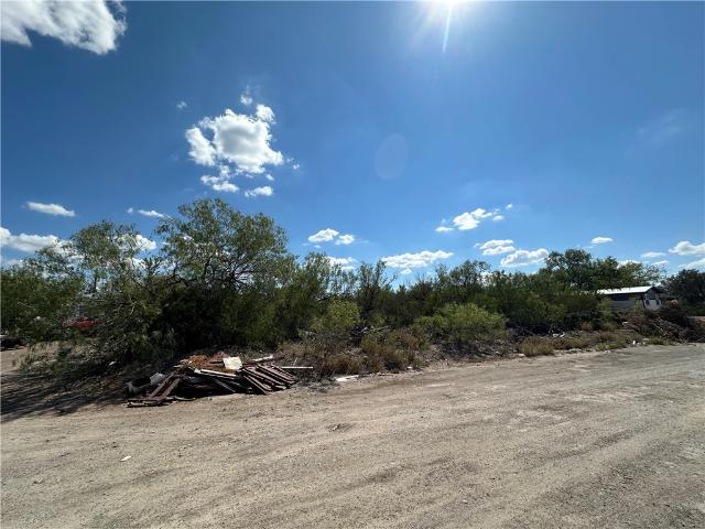Land for sale in Freer, Texas