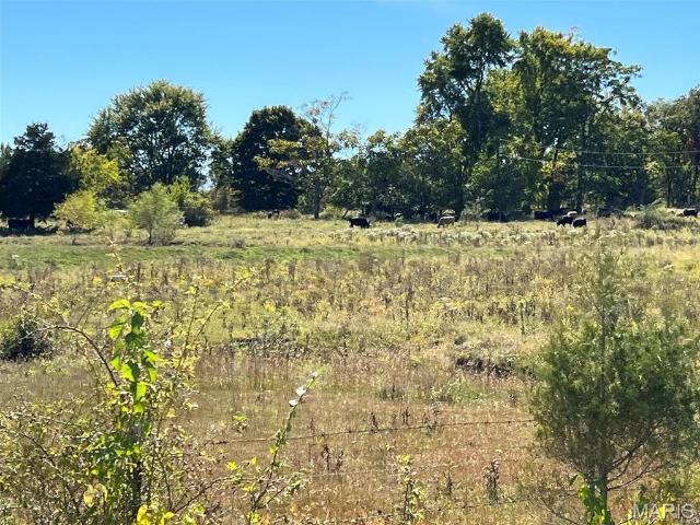 Land for sale in Farmington, Missouri