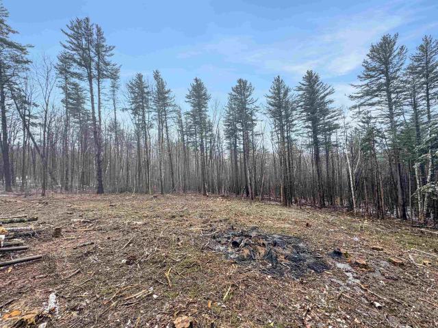 Property for sale in Wardsboro, Vermont