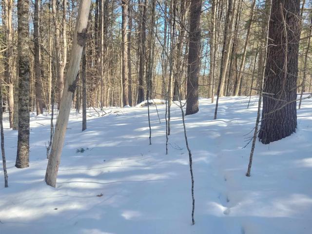 Property for sale in New Hampshire