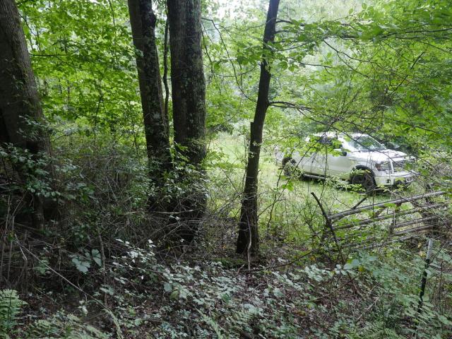 Land for sale in Virginia