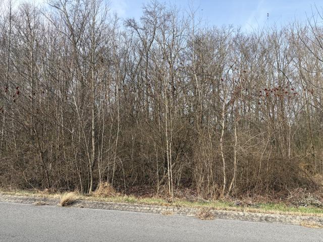 Land for sale in Tennessee