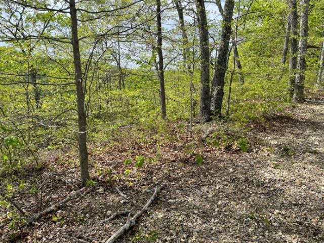 Land for sale in Tennessee