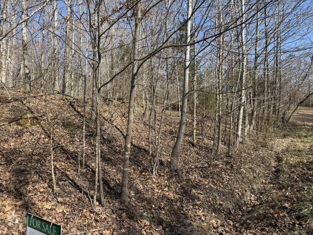 Land for sale in Tennessee
