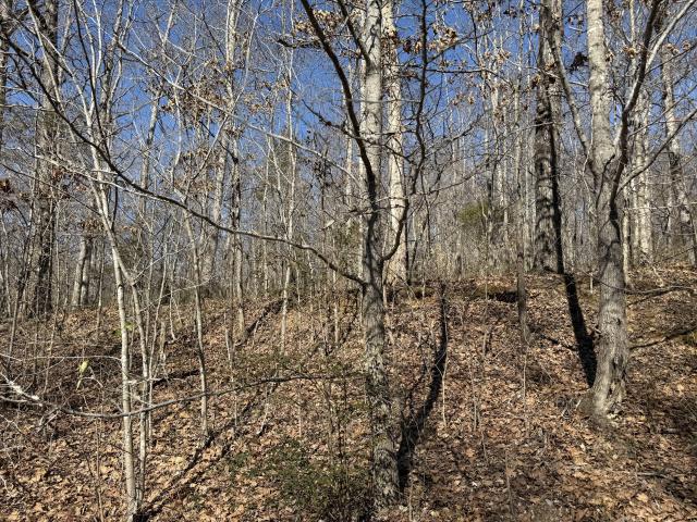 Land for sale in Tennessee
