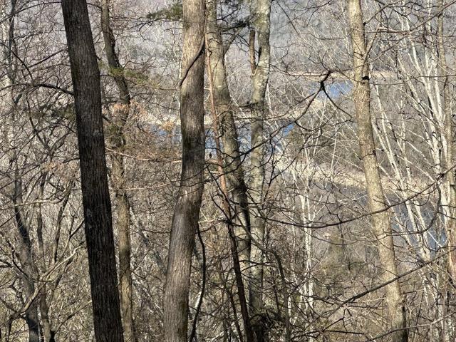 Land for sale in Tennessee