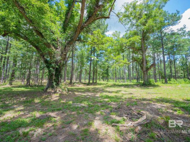Land for sale in Bay Minette, Alabama