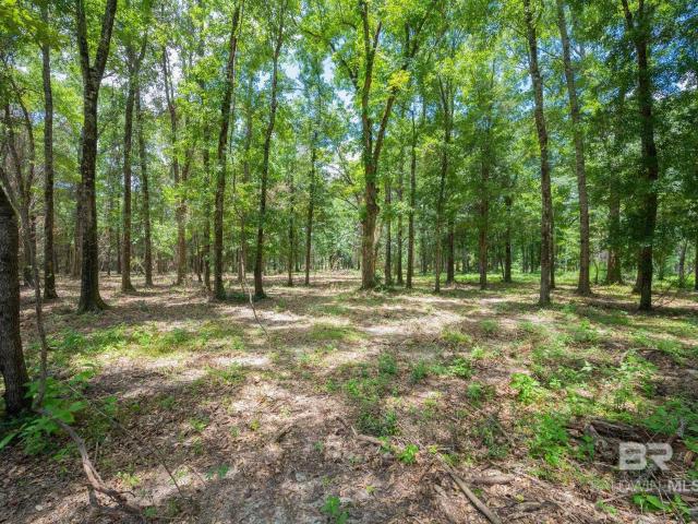 Land for sale in Bay Minette, Alabama