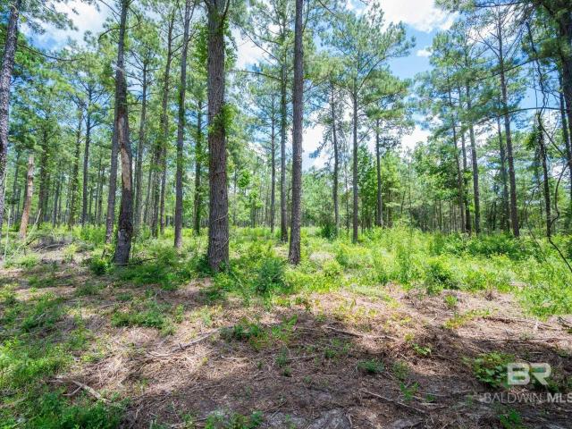 Land for sale in Bay Minette, Alabama