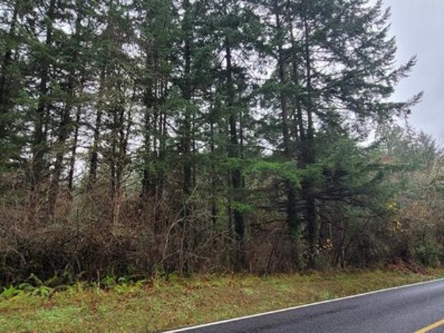 Land for sale in Veneta, Lane County