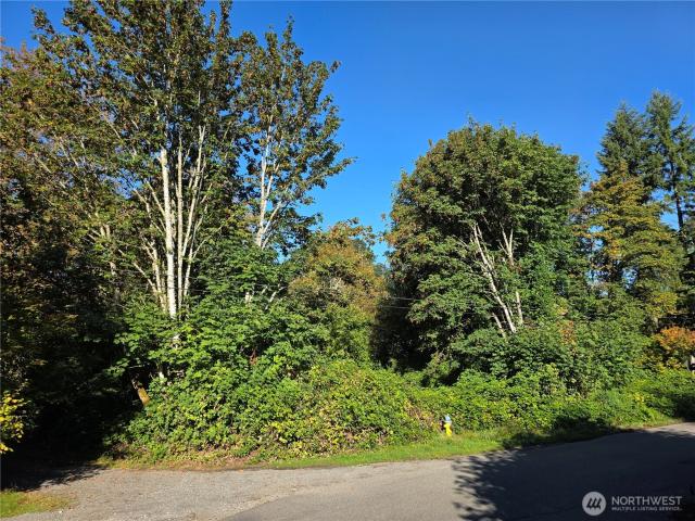 Land for sale in Tenino, Thurston County