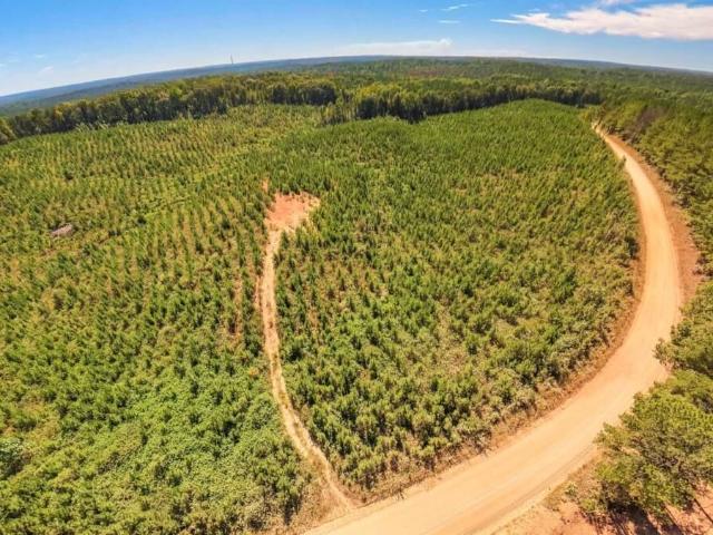 Land for sale in Cross Plains, Whitesburg