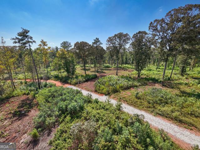 Land for sale in Franklin, Georgia