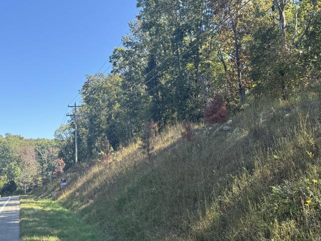 Land for sale in Tennessee