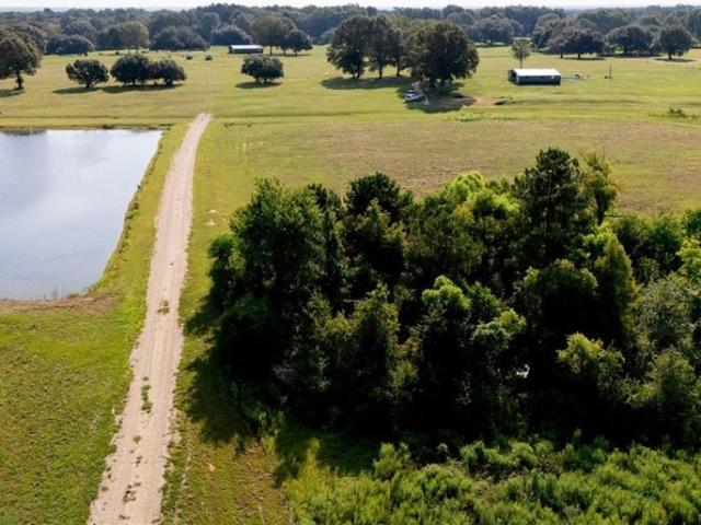Land for sale in Franklinton, Louisiana
