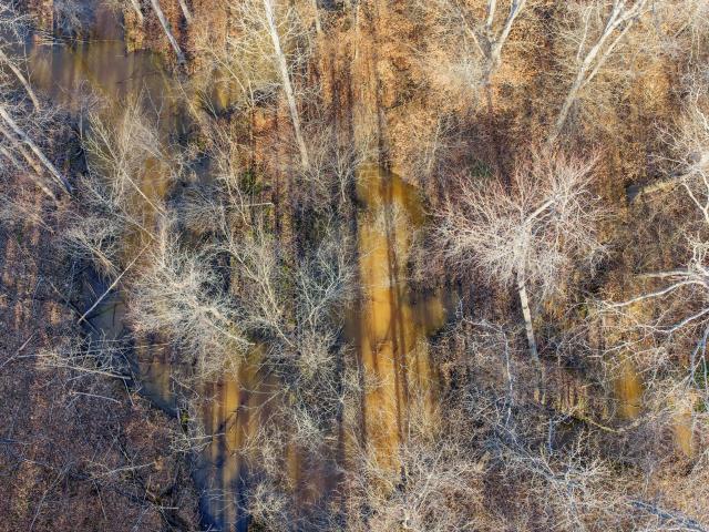 Land for sale in Tennessee