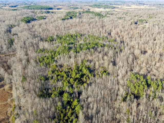 Land for sale in Tennessee