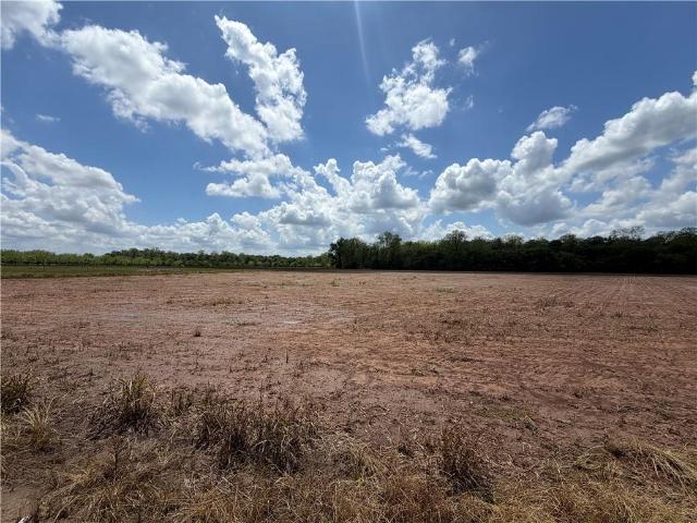 Land for sale in Bunkie, Avoyelles Parish