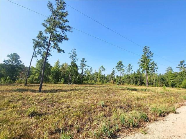 Land for sale in Robeline, Louisiana