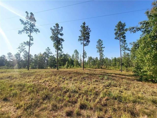 Land for sale in Provencal, Natchitoches Parish