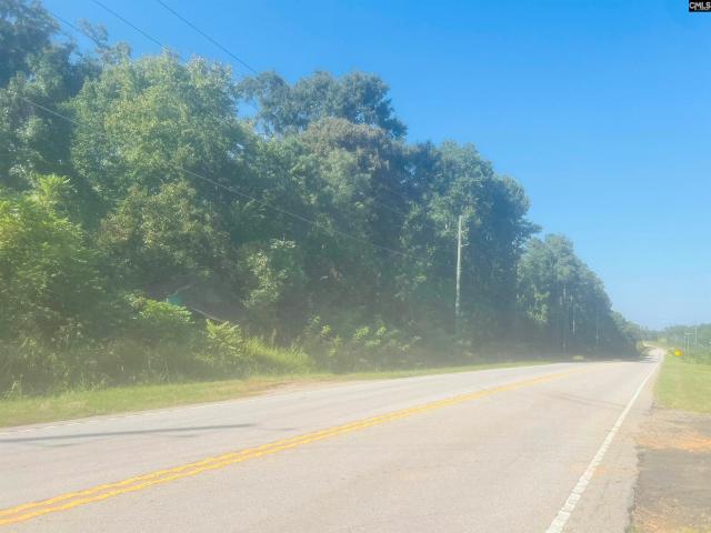 Land for sale in Newberry, South Carolina