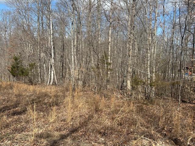 Land for sale in Albany, Kentucky