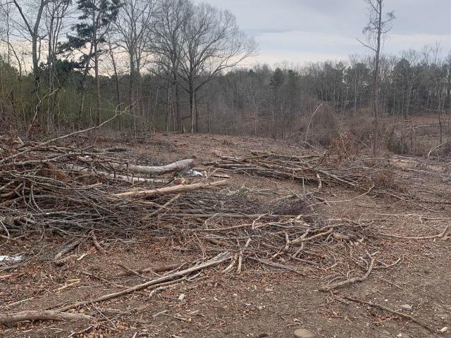 Land for sale in Phil Campbell, Alabama