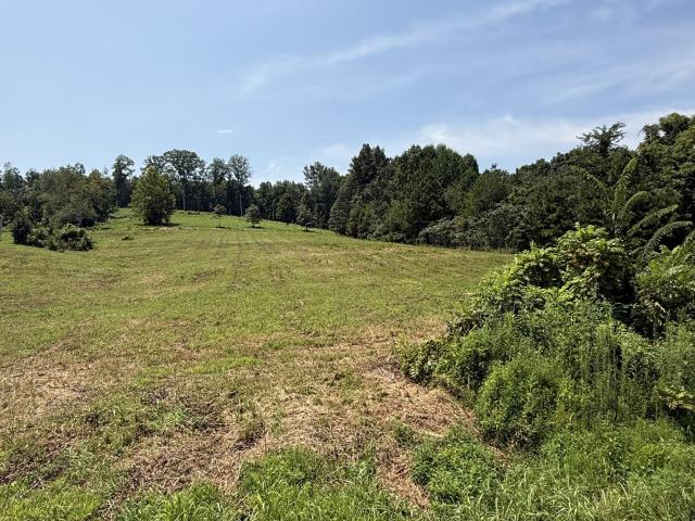 Land for sale in Tennessee
